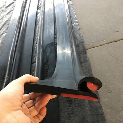 Type die van de Transportband Zijrok Y van de schurings het Bestand Riem Rubbervoering begrenzen